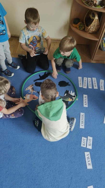 Żabki: Październik 2025 - Zdjęcie 119