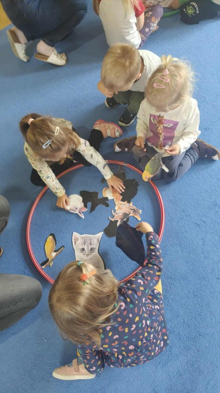 Żabki: Październik 2025 - Zdjęcie 213