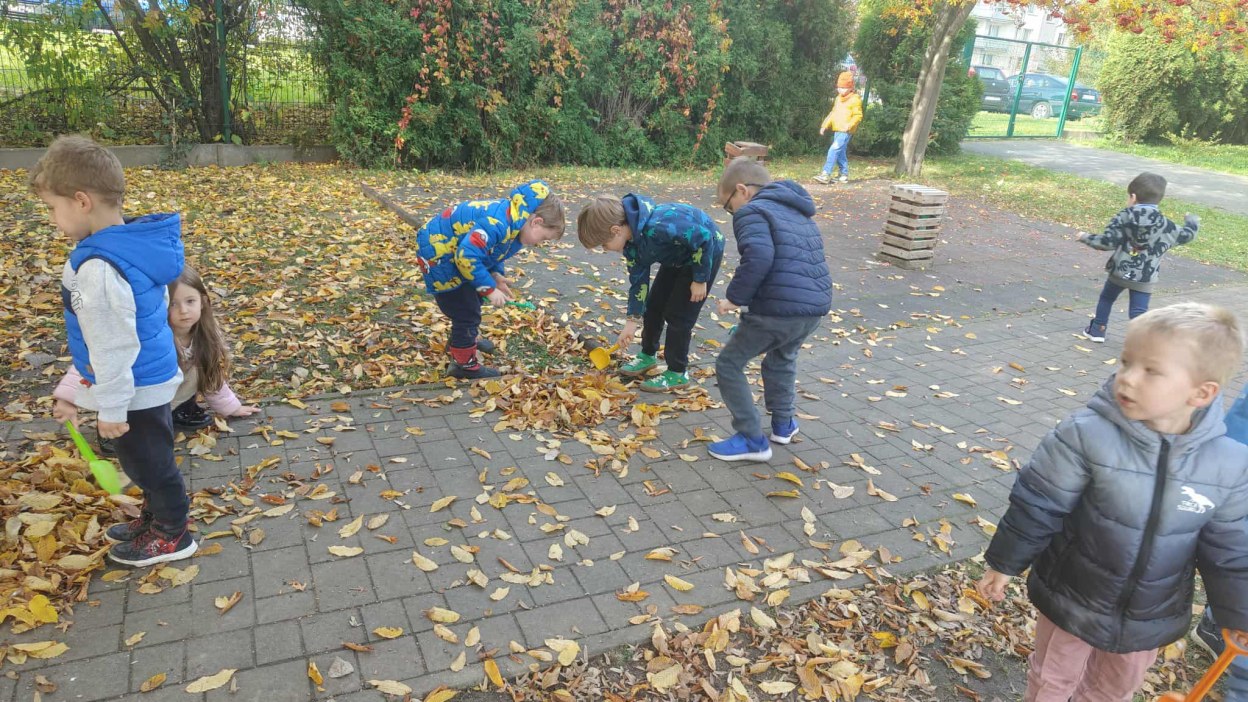 Żabki: Październik 2025 - Zdjęcie 112