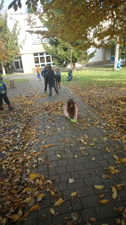 Żabki: Październik 2025 - Zdjęcie 118