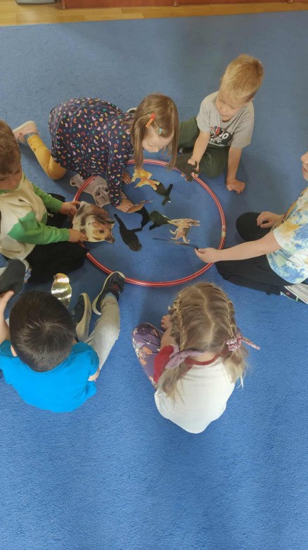 Żabki: Październik 2025 - Zdjęcie 176