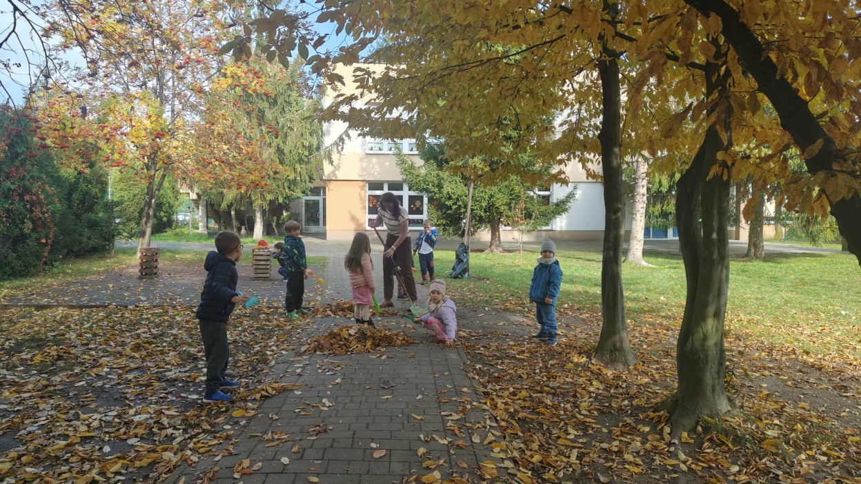 Żabki: Październik 2025 - Zdjęcie 207