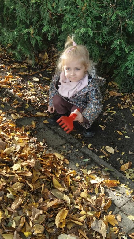 Żabki: Październik 2025 - Zdjęcie 243