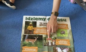 Żabki: Październik 2025 - Zdjęcie 13