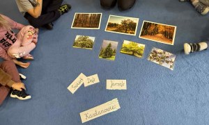 Żabki: Październik 2025 - Zdjęcie 38