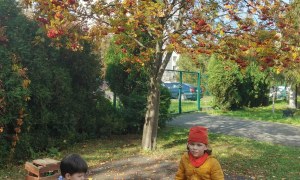 Żabki: Październik 2025 - Zdjęcie 56