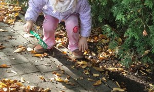 Żabki: Październik 2025 - Zdjęcie 78