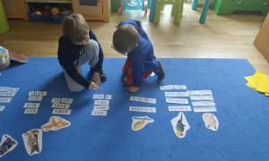 Żabki: Październik 2025 - Zdjęcie 91