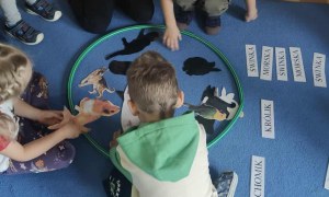 Żabki: Październik 2025 - Zdjęcie 119