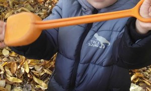 Żabki: Październik 2025 - Zdjęcie 121