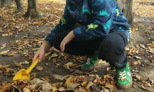 Żabki: Październik 2025 - Zdjęcie 149