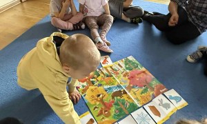 Żabki: Październik 2025 - Zdjęcie 154