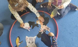 Żabki: Październik 2025 - Zdjęcie 213