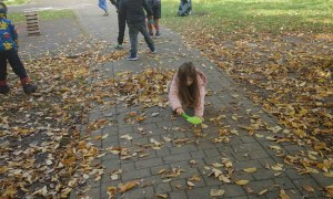 Żabki: Październik 2025 - Zdjęcie 118