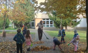 Żabki: Październik 2025 - Zdjęcie 150