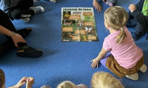 Żabki: Październik 2025 - Zdjęcie 184