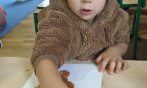 Żabki: Październik 2025 - Zdjęcie 192