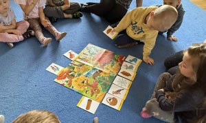 Żabki: Październik 2025 - Zdjęcie 198