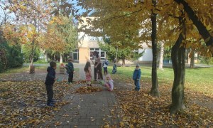 Żabki: Październik 2025 - Zdjęcie 207