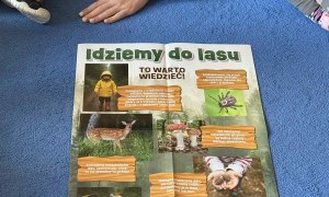 Żabki: Październik 2025 - Zdjęcie 215