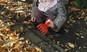 Żabki: Październik 2025 - Zdjęcie 243