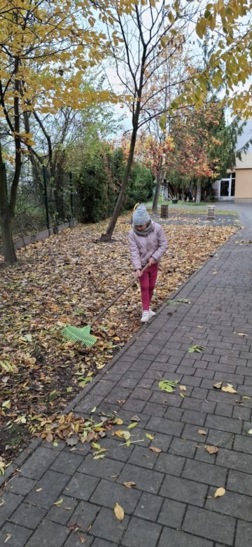 Muminki: Październik 2025 - Zdjęcie 27