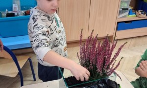 Muminki: Październik 2025 - Zdjęcie 16