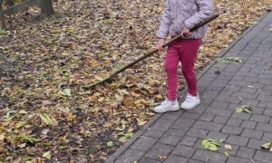 Muminki: Październik 2025 - Zdjęcie 40