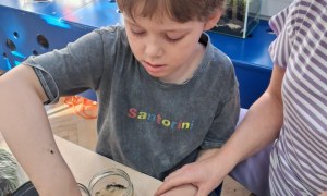 Muminki: Październik 2025 - Zdjęcie 56