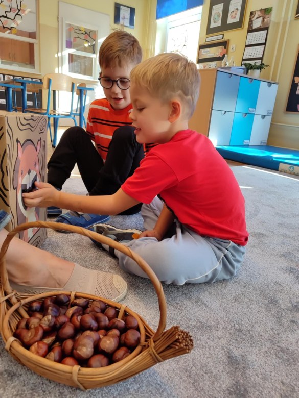 Tygryski: Październik 2025 - Zdjęcie 8