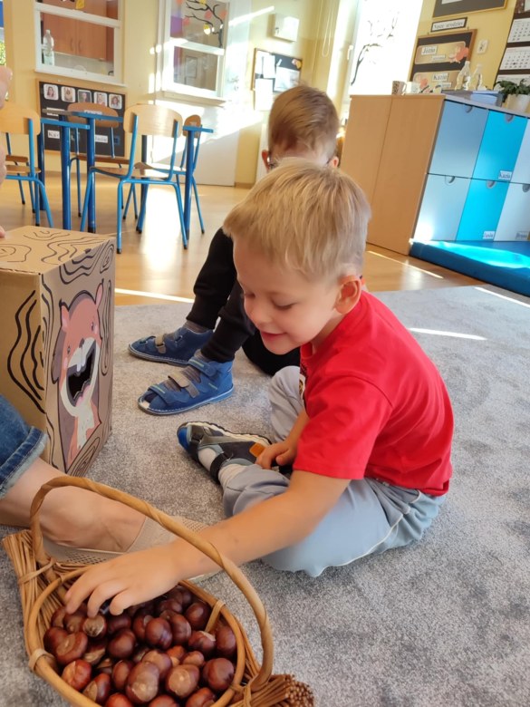 Tygryski: Październik 2025 - Zdjęcie 37