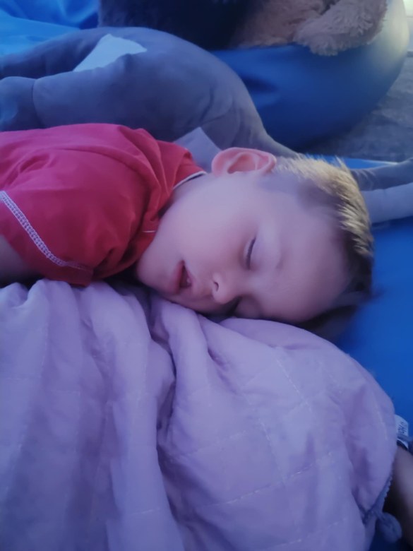 Tygryski: Październik 2025 - Zdjęcie 54