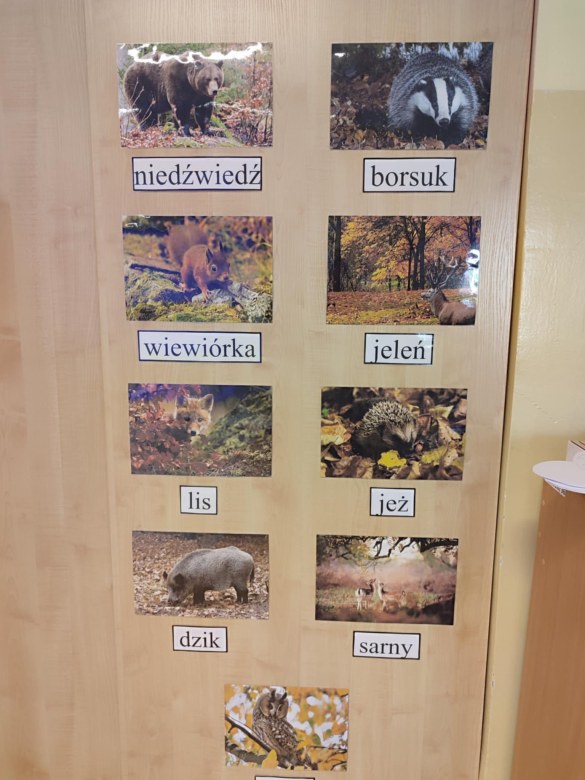 Tygryski: Październik 2025 - Zdjęcie 30