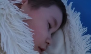 Tygryski: Październik 2025 - Zdjęcie 5