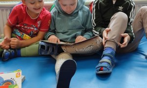 Tygryski: Październik 2025 - Zdjęcie 4