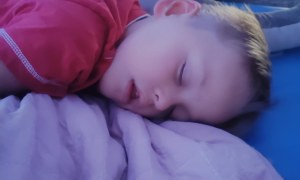 Tygryski: Październik 2025 - Zdjęcie 54