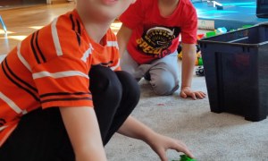 Tygryski: Październik 2025 - Zdjęcie 47