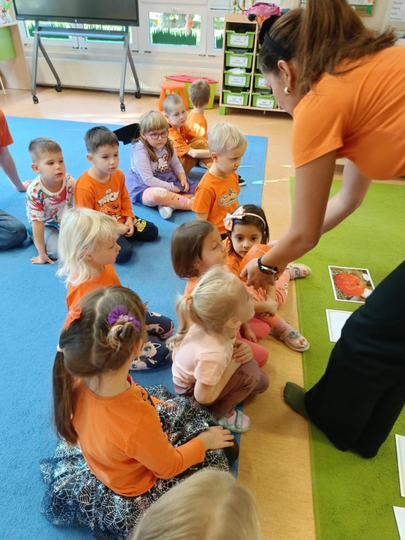 Dzień Dyni: Sówki 2025 - Zdjęcie 31