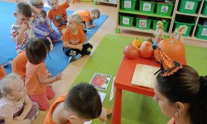 Dzień Dyni: Sówki 2025 - Zdjęcie 15