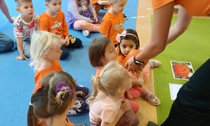 Dzień Dyni: Sówki 2025 - Zdjęcie 31