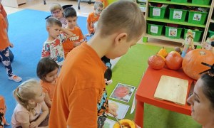 Dzień Dyni: Sówki 2025 - Zdjęcie 57