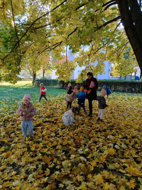 Sówki: Październik 2025 - Zdjęcie 9