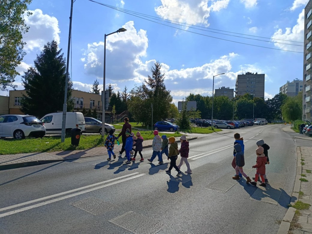 Sówki: Październik 2025 - Zdjęcie 26