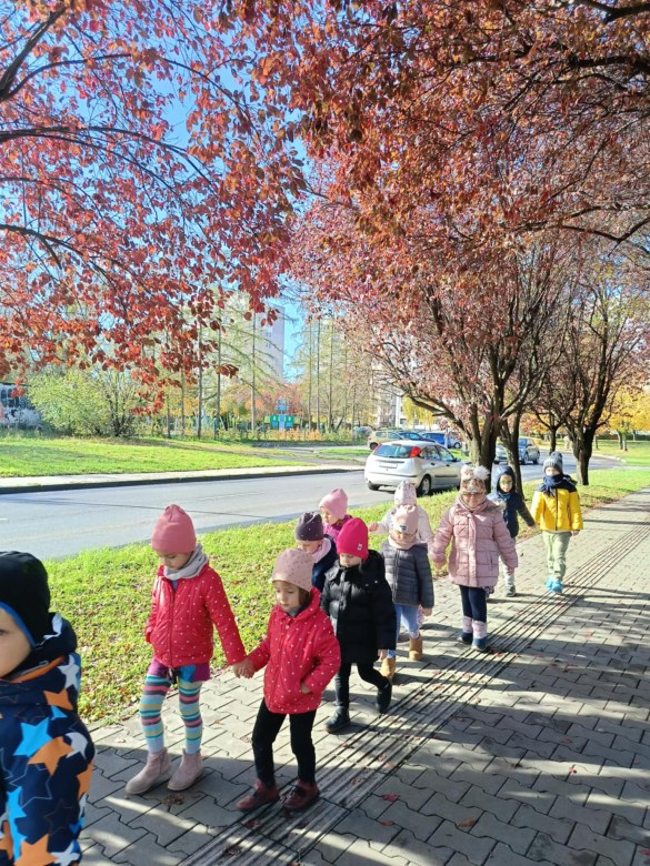 Sówki: Październik 2025 - Zdjęcie 30