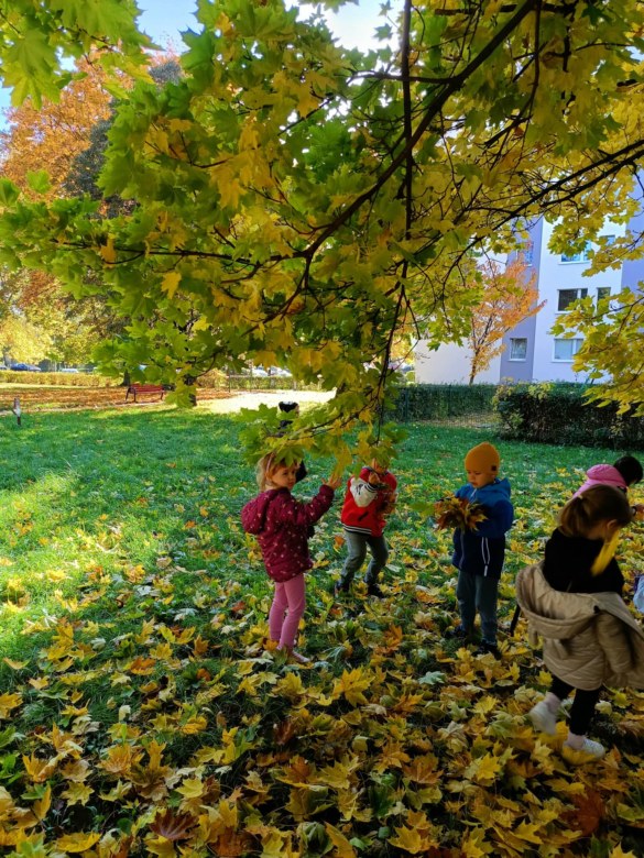 Sówki: Październik 2025 - Zdjęcie 47