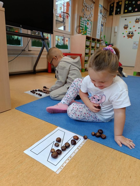 Sówki: Październik 2025 - Zdjęcie 54