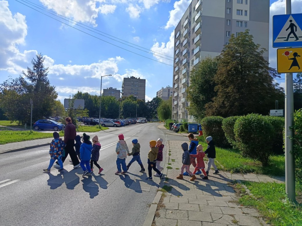 Sówki: Październik 2025 - Zdjęcie 75