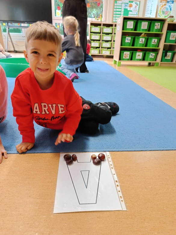 Sówki: Październik 2025 - Zdjęcie 83