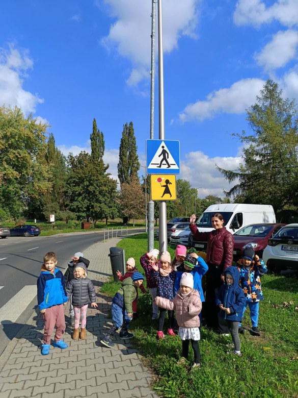 Sówki: Październik 2025 - Zdjęcie 154