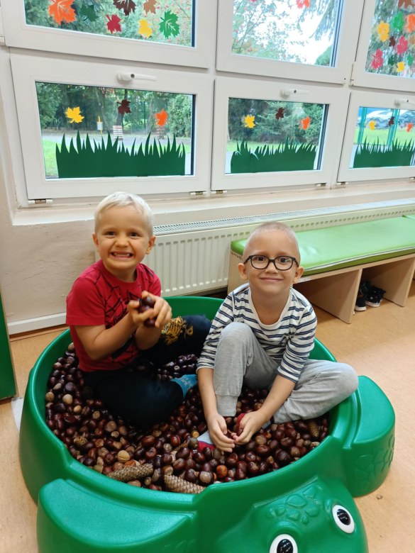 Sówki: Październik 2025 - Zdjęcie 155